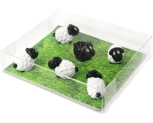 Decoratieve schaapmagneten, set van 6, wit/zwart