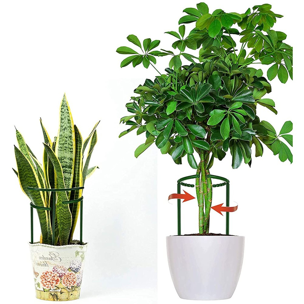 (3er Set) 14x25cm Halbrunde Pflanzenstütze Garten Rankhilfe Staudenhalter - Grün