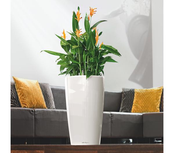 LECHUZA® RONDO, All-in-One-Set