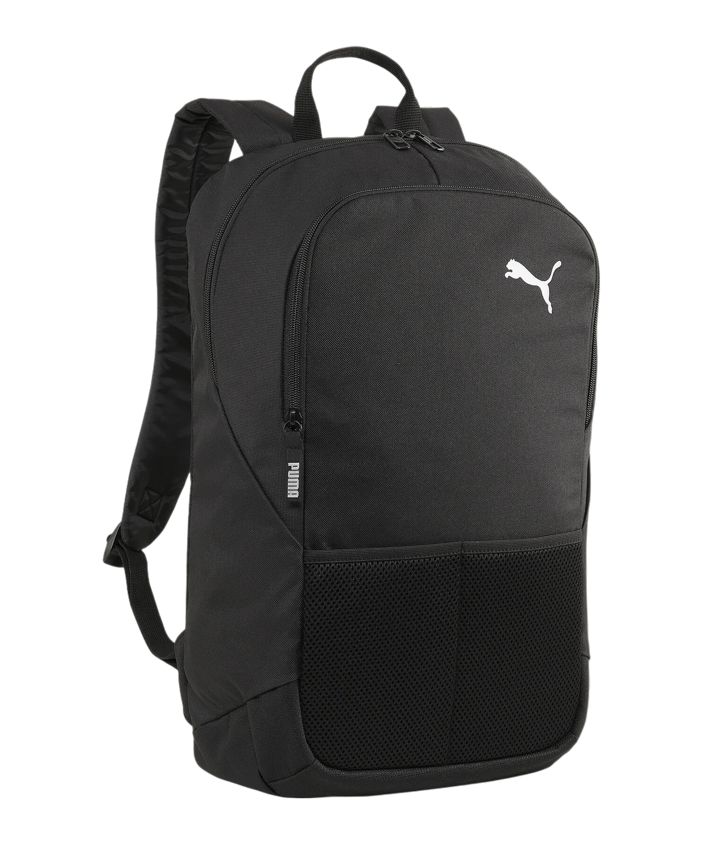 PUMA teamGoal Rucksack Schwarz F01