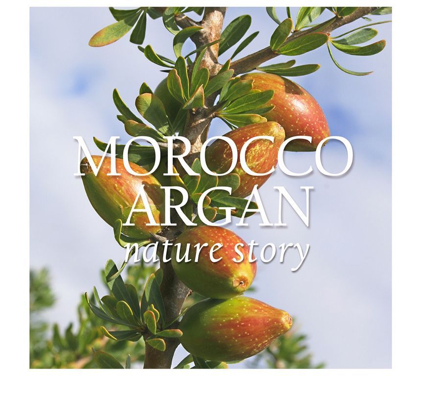 NATURE REPUBLIC - Argan Essentiële Diepe Verzorging Haarpakket