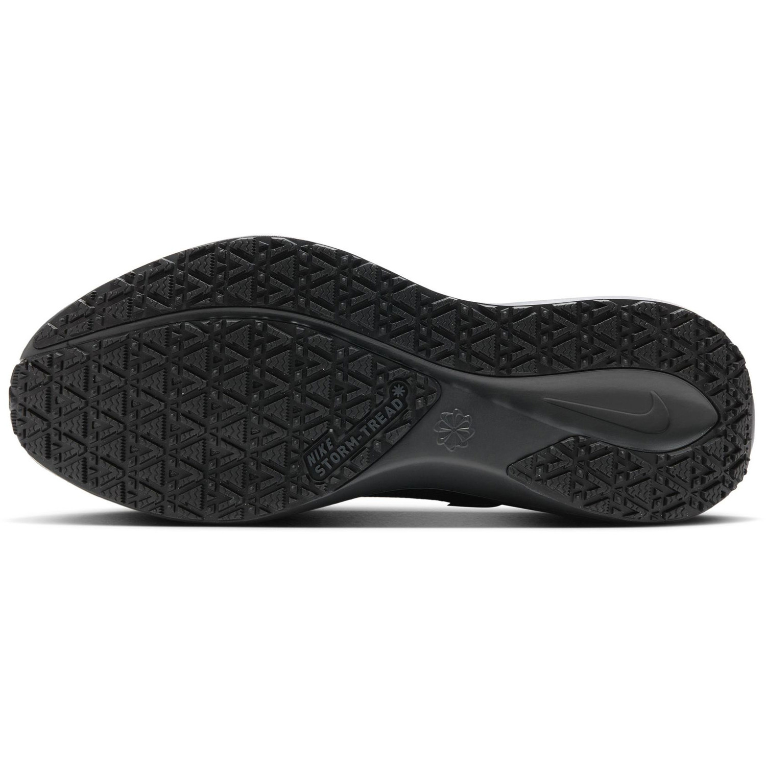 Nike Pegasus 41 GTX Heren