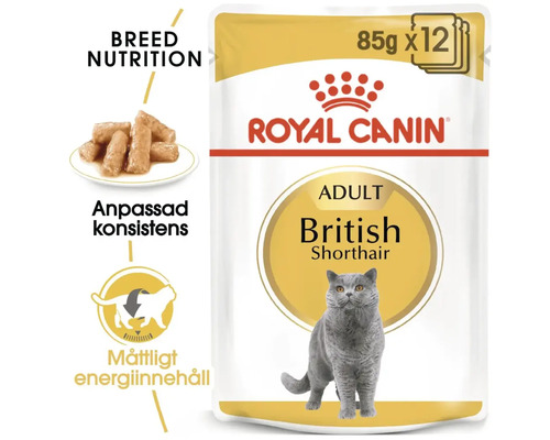 ROYAL CANIN Britse Korthaar natvoer voor katten 85g