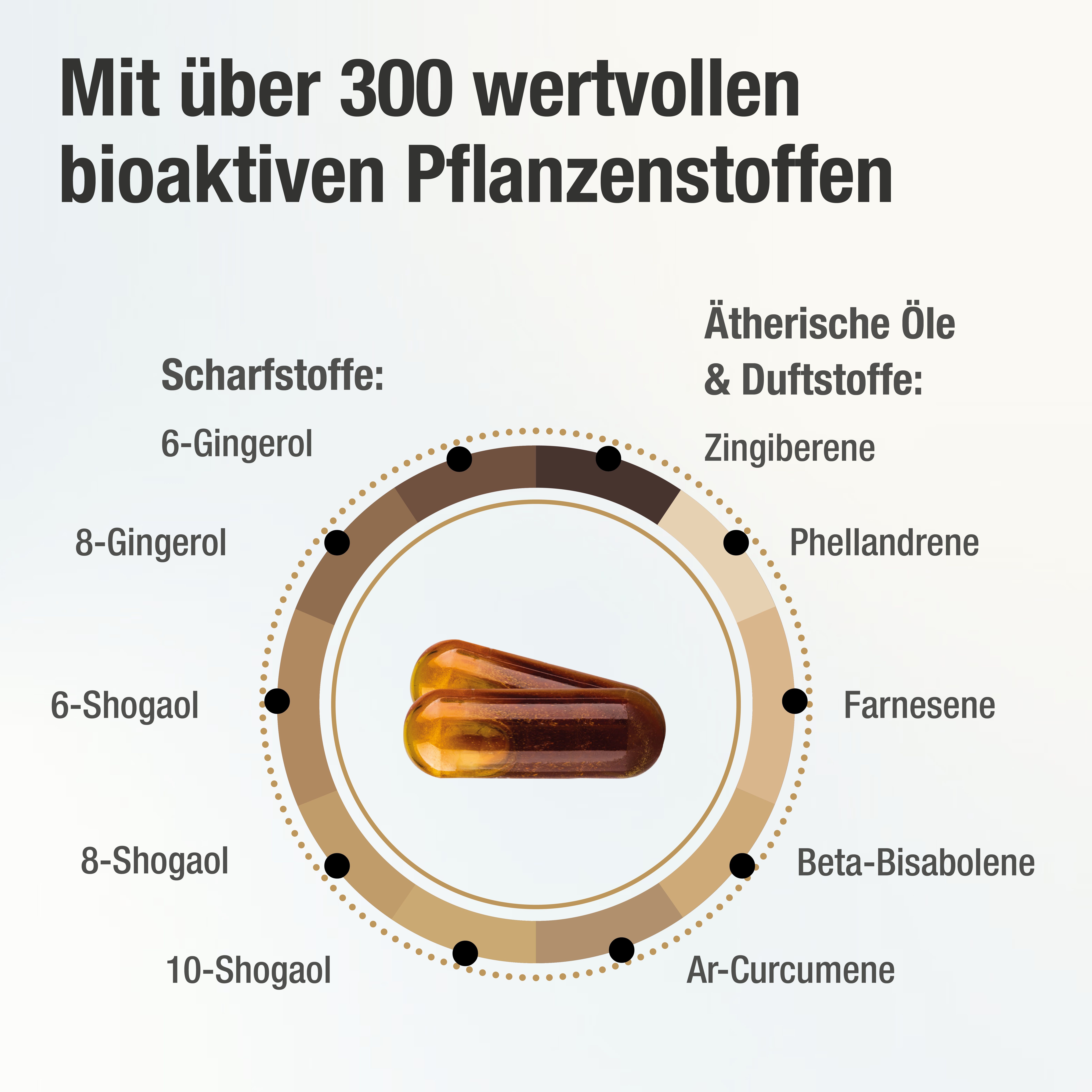 GINGERIN PLUS® Ingwer Kapseln