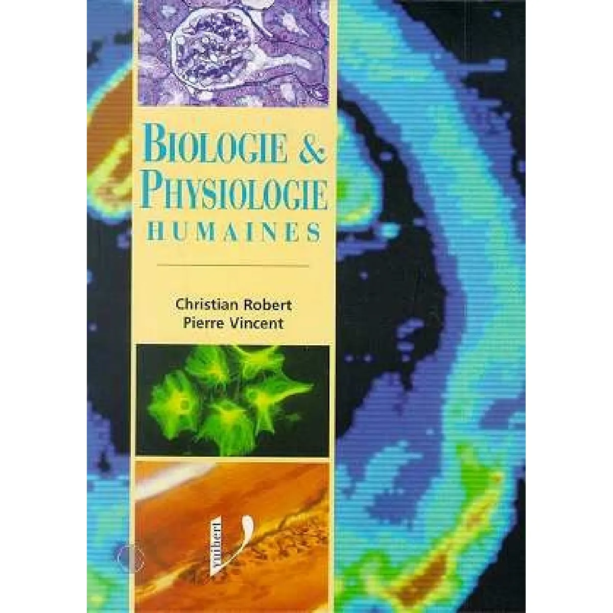 Biologie et physiologie humaines · Occasion
