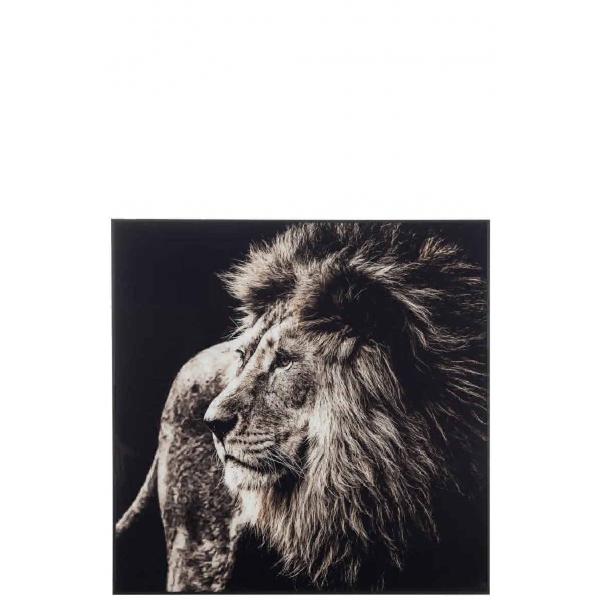 Dansmamaison Déco murale Lion 100x100 cm - Noir/Blanc