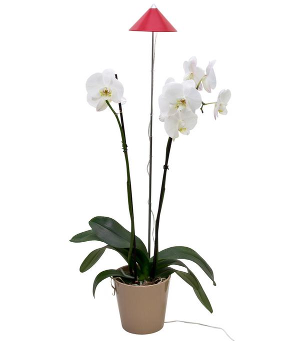 Venso LED-Pflanzenlampe