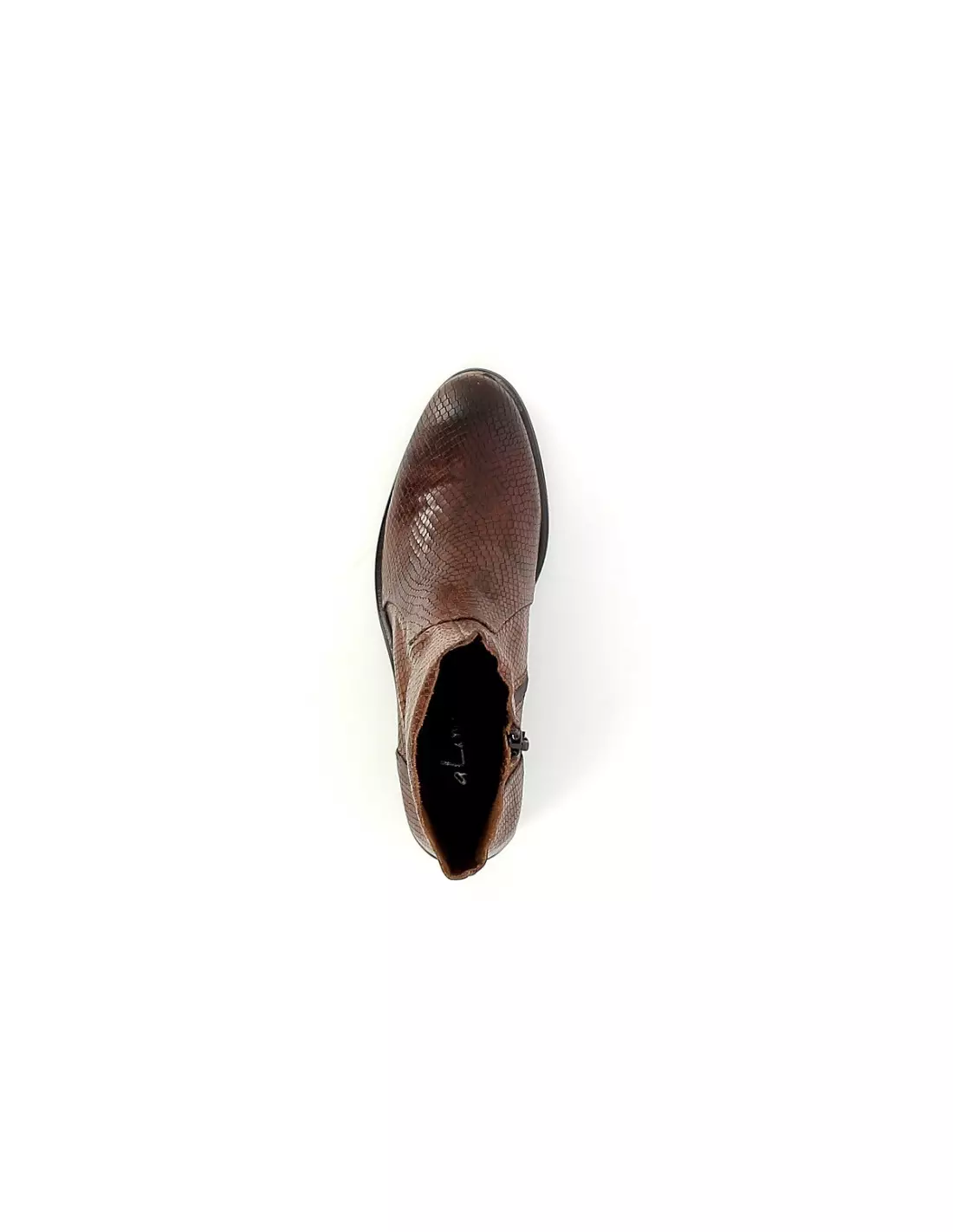 ALIWELL ALIAS - Boots & bottines barontabac