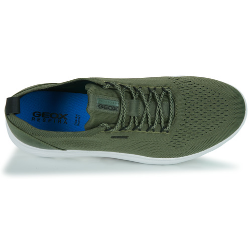 Geox - U SPHERICA - Kaki