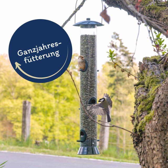 Lyra Pet® Sonnenblumenkerne gestreift