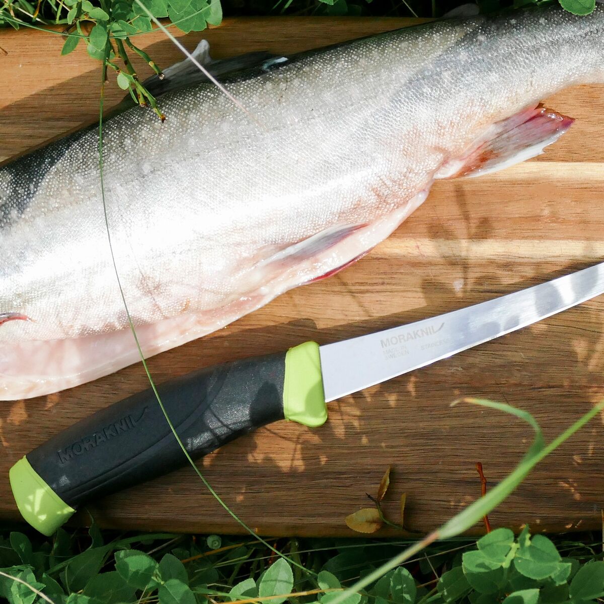 Companion Fishing Fillet 155 (S)