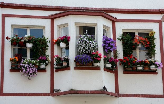 Fotokurs durch die Heidelberger Altstadt als Geschenk