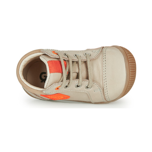 GBB - TARAVI - Beige