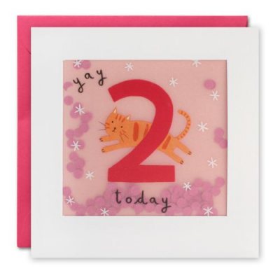 Age 2 Cat Paper Shakies Card