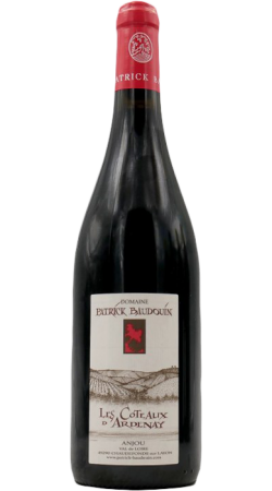Domaine Patrick Baudouin Anjou 2017 Les Coteaux D'Ardenay