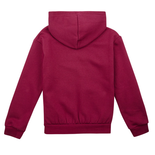 Levi's - LVG POSTER LOGO HOODIE - Violet