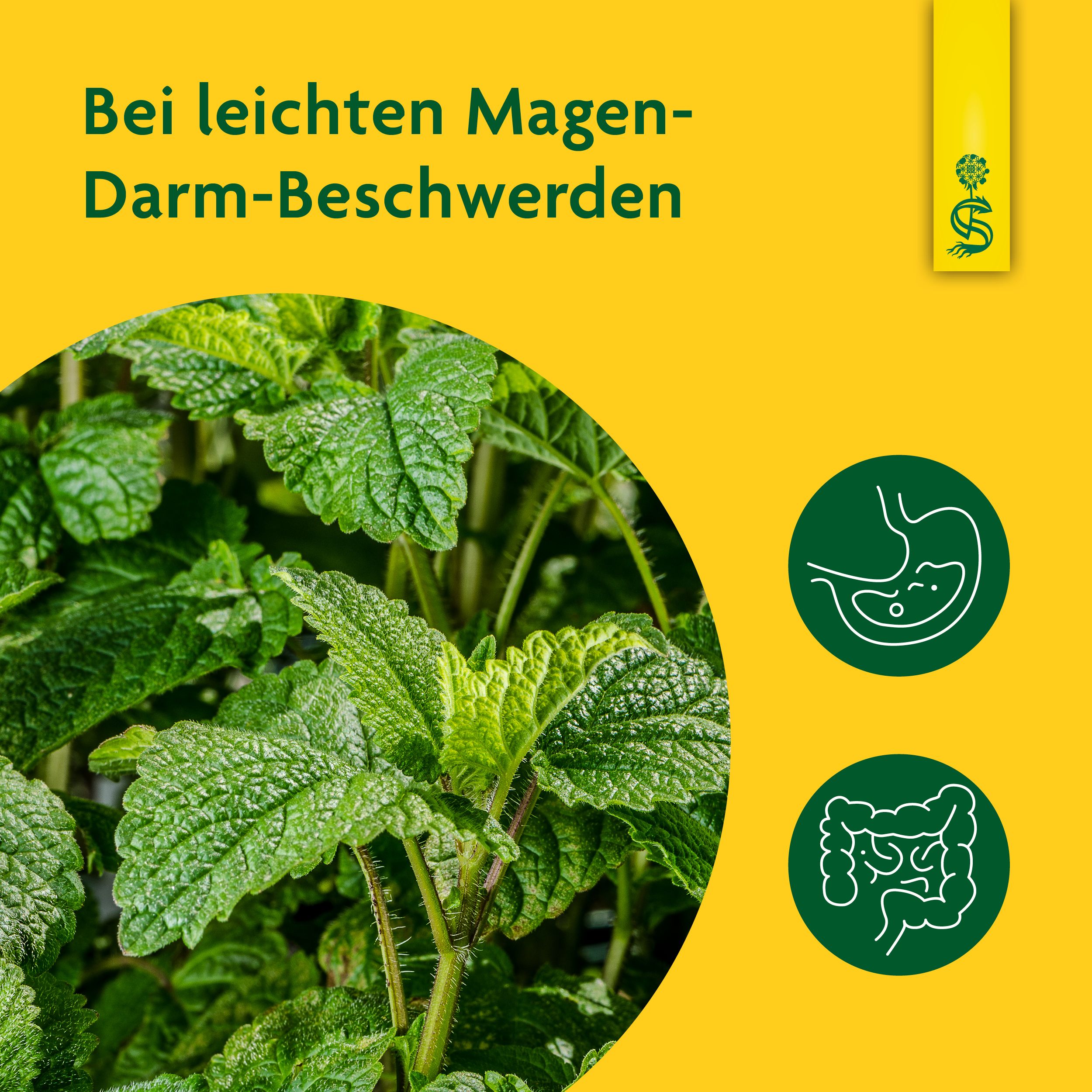 Schoenenberger® naturreiner Heilpflanzensaft Melisse