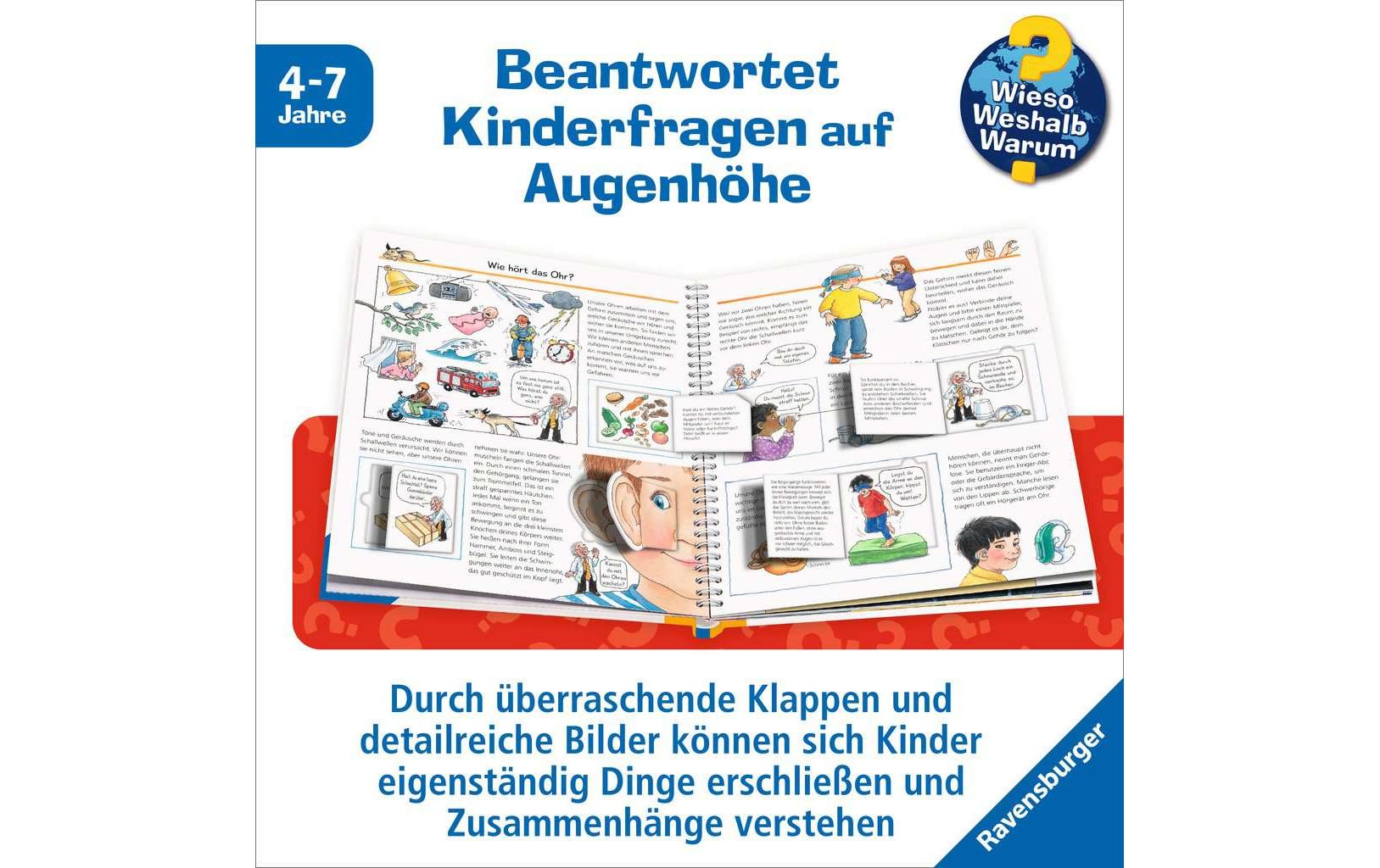 Kinder-Sachbuch WWW: Experimentieren mit allen SinnenKlappbuch