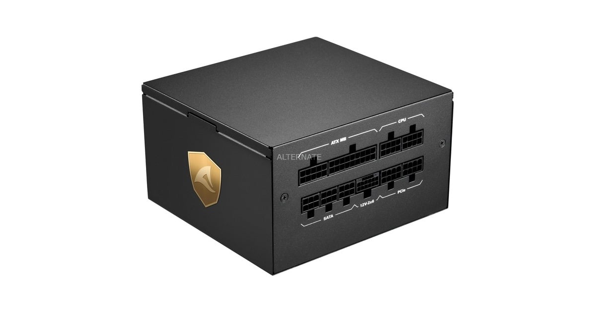 SharkoonRebel P20 modulaire 750 watt voeding   (Zwart, 1x 12V-2x6, 4x PCIe)