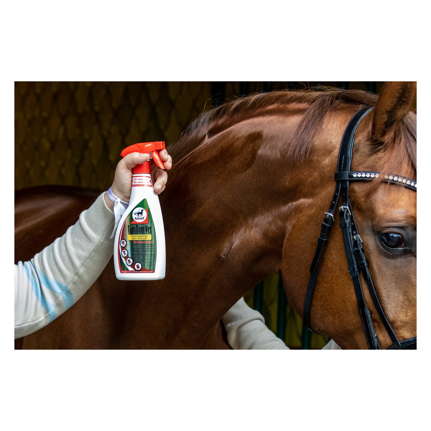 leovet Fliegenspray TamTamVet  - 550 ml