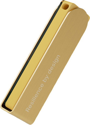 Ledger Nano X Gold