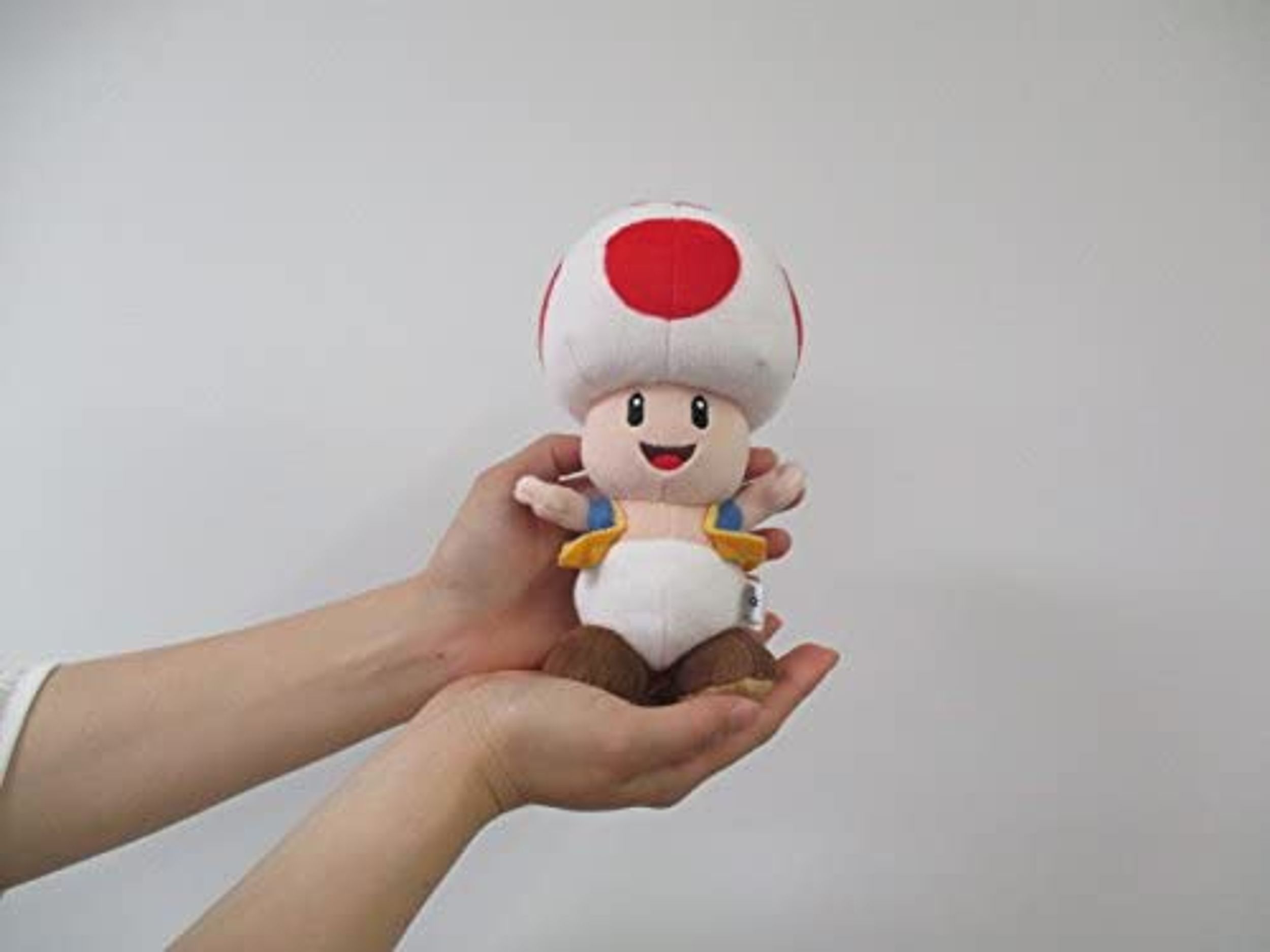 Toad