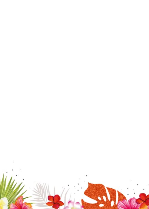 TMS | Verjaardagskaart | Illustratie
