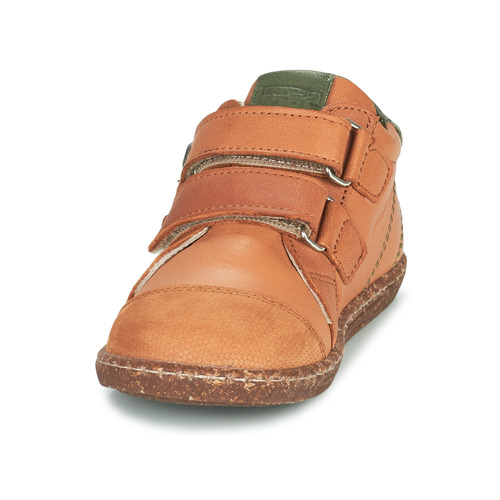 Aster - WASHAN - Camel / Vert