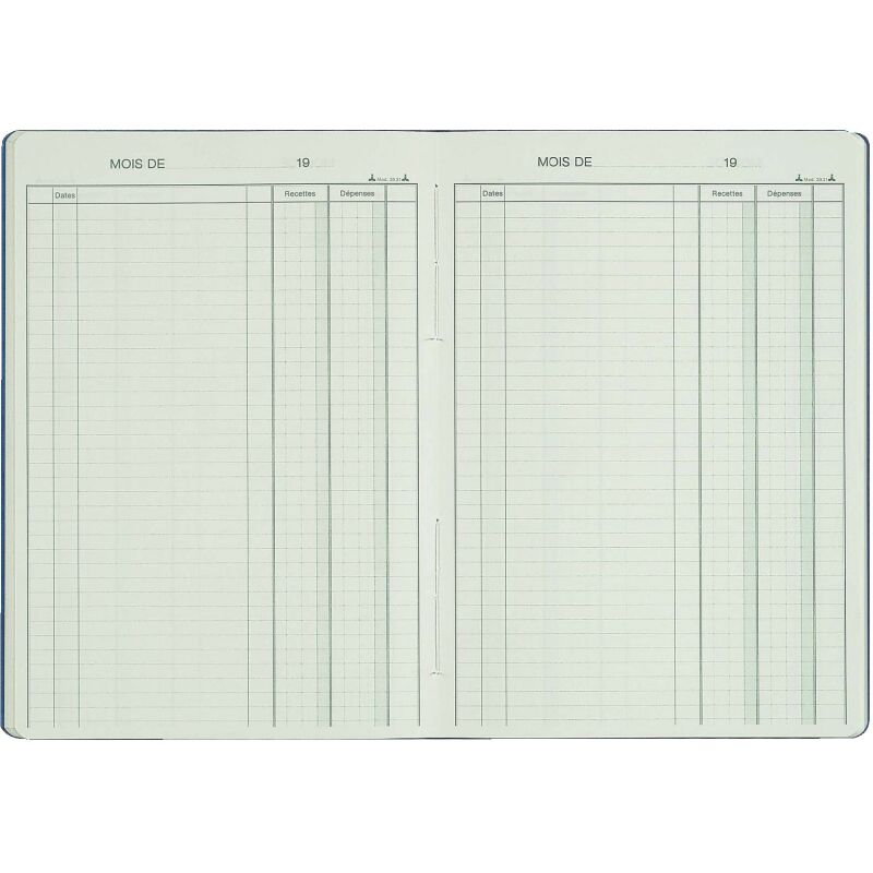 Registre piqûre recettes - dépenses 2 colonnes Le Dauphin 3931 - 21 x 29,7 cm 80 pages