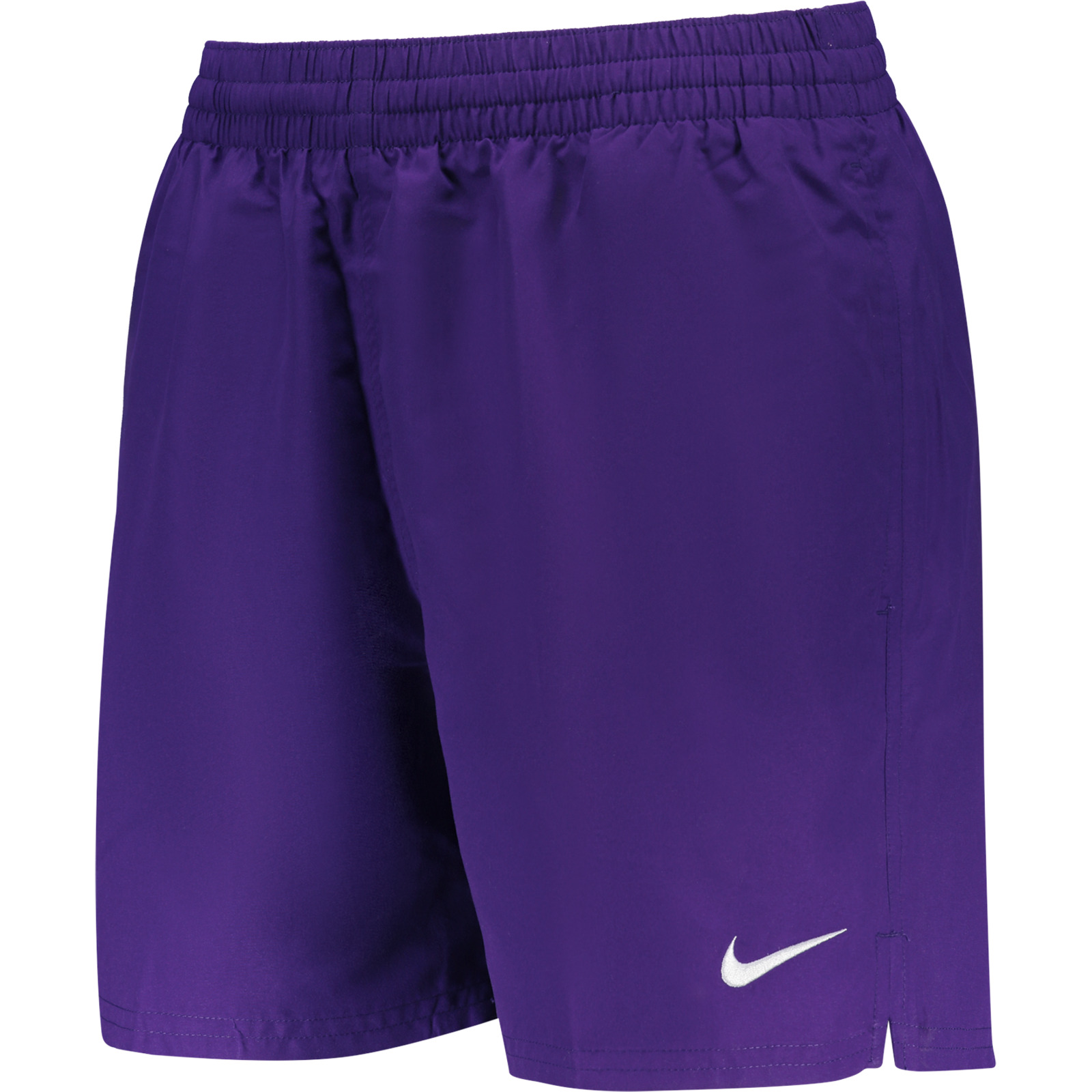 Nike Herren-Badeshorts Essential 5