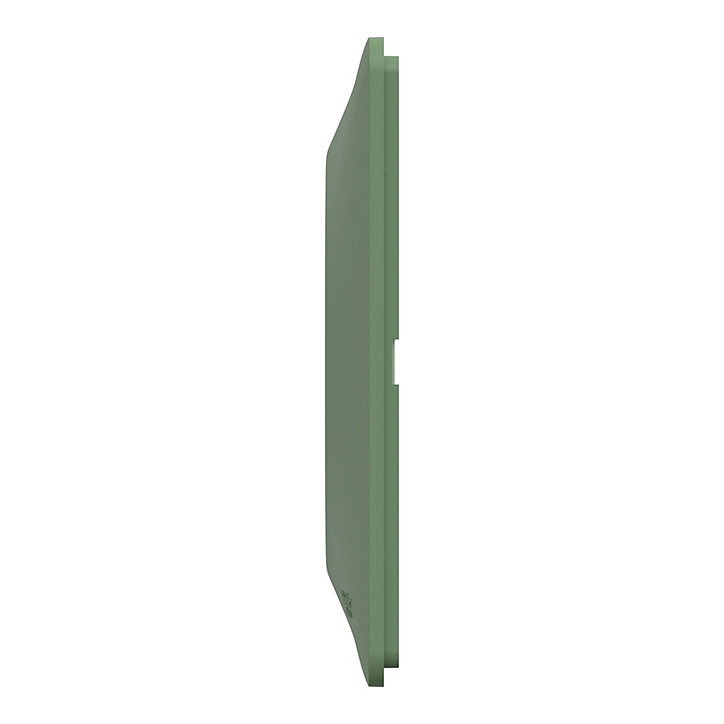 Plaque de finition double Schneider Electric Ovalis vert forêt