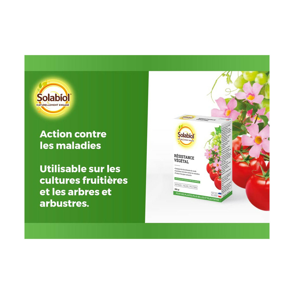 Sobicar350 | bicarbonate de soude| résistance végétal | etui 350g |lut