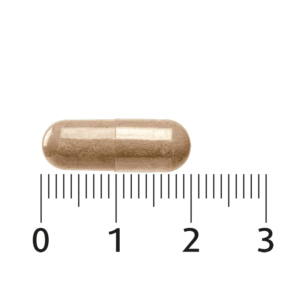 SRI 81 30 capsules