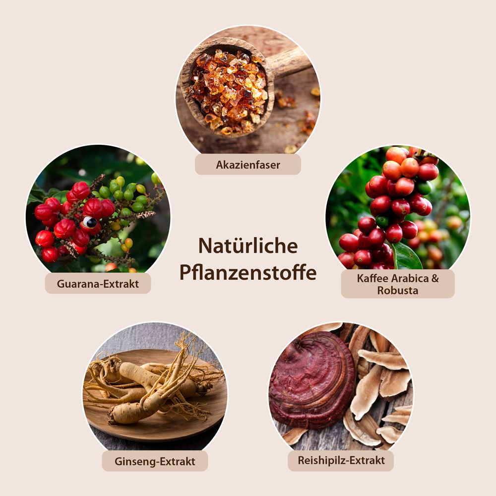 Chi-Cafe Probierpaket ReiChi Kaffee Proben Akazienfaser Guarana Reishi Ginseng