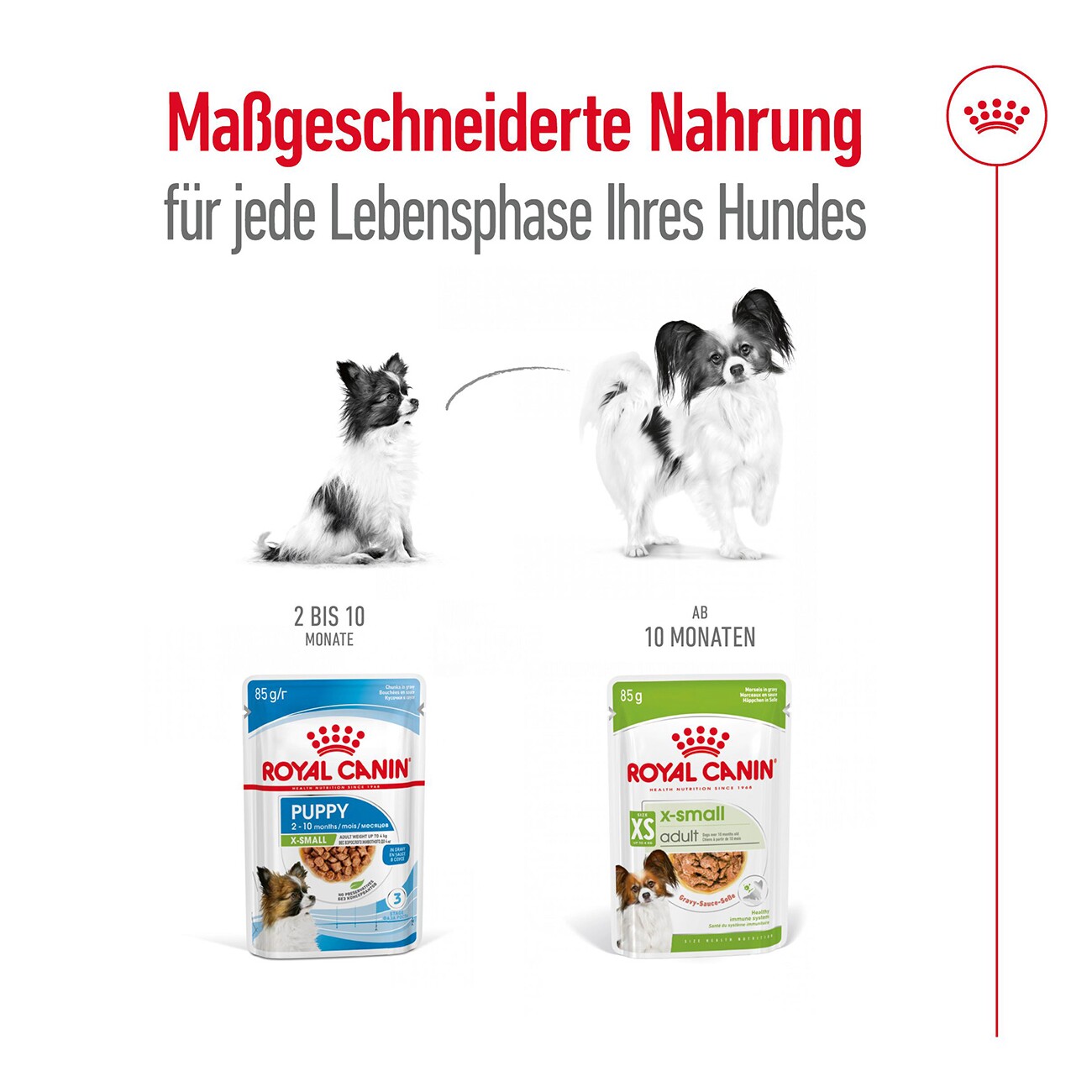 ROYAL CANIN X-Small Adult in Sauce 12x85 g