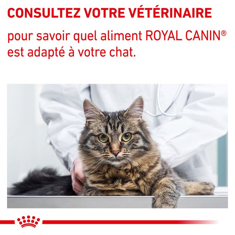 Royal Canin Expert Neutered Satiety Balance