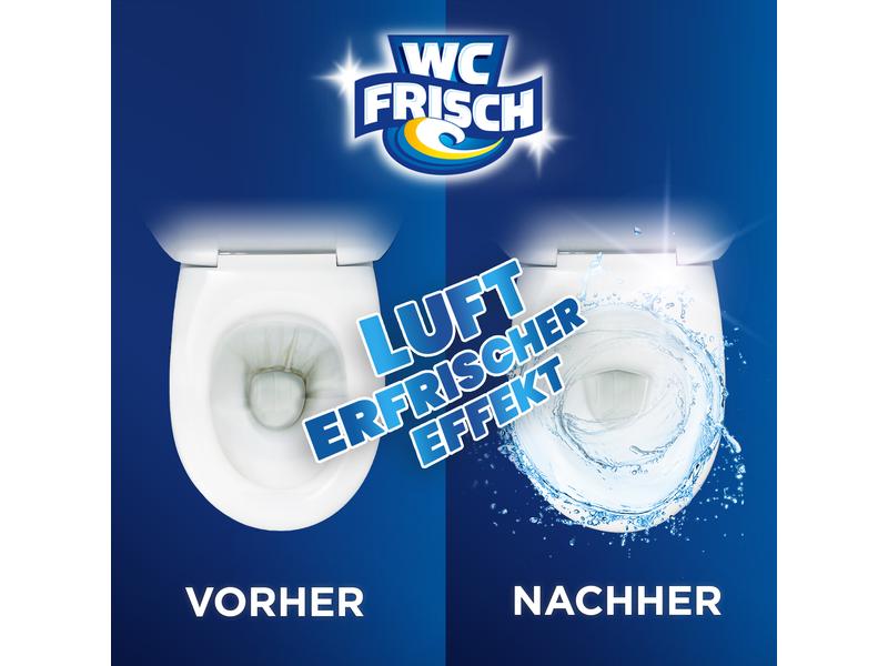 WC Frisch WC-Reiniger Kraft-Aktiv Reiniger Blütenfrische 75 Toilettenreiniger für hygienische Frische