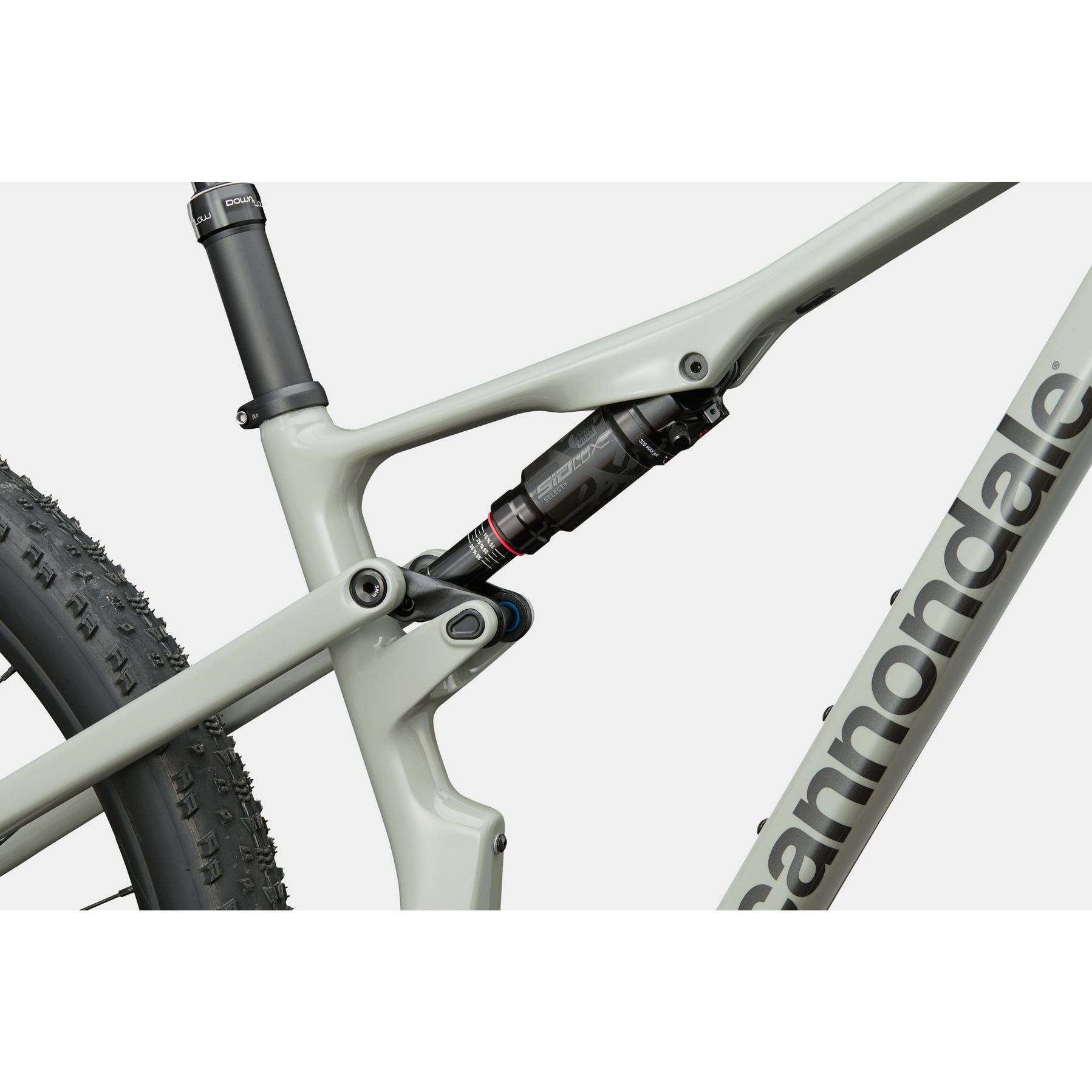 Cannondale Scalpel Carbon 3 2026