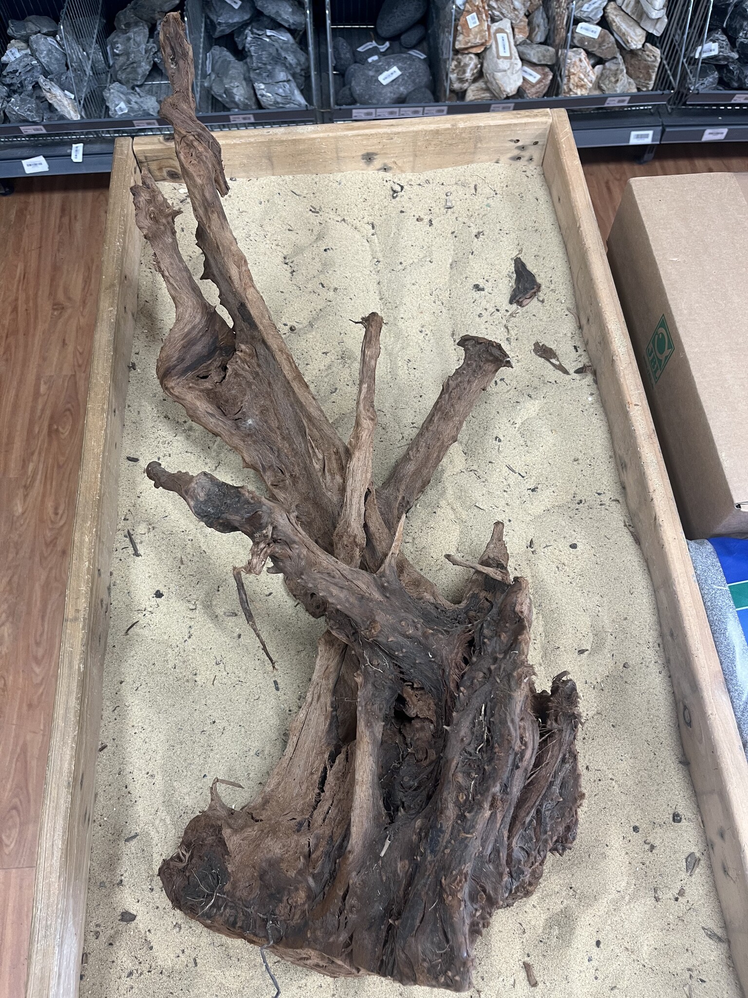 AQXL Selected Mangrovehout XL C 70-90cm