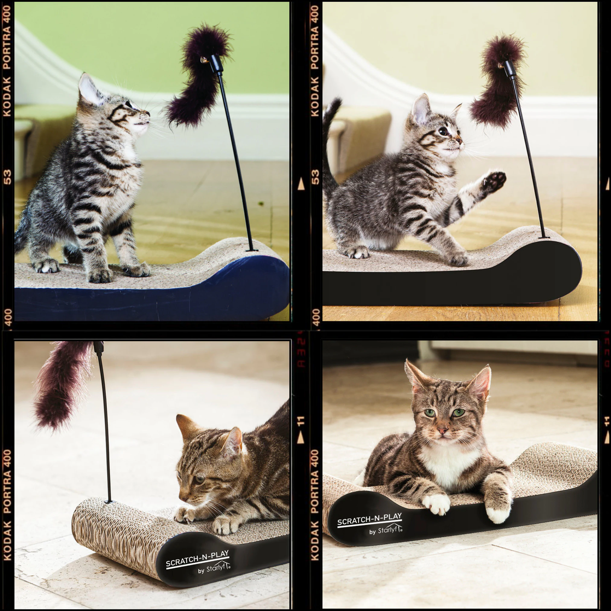 Best Direct® Katzen Kratzpappe - Kratzmatte, Pappe, Katze Scratch N Play
