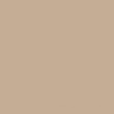 Peinture extérieure et intérieure bois microporeuse beige sable Syntilor 0,5L