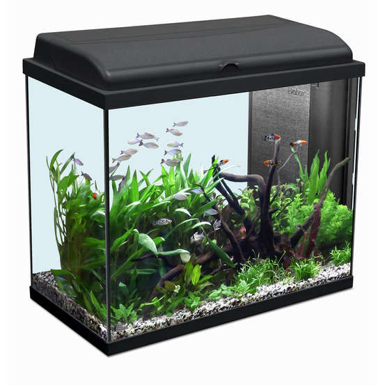 Aquarium Iban, noir - 93 litres