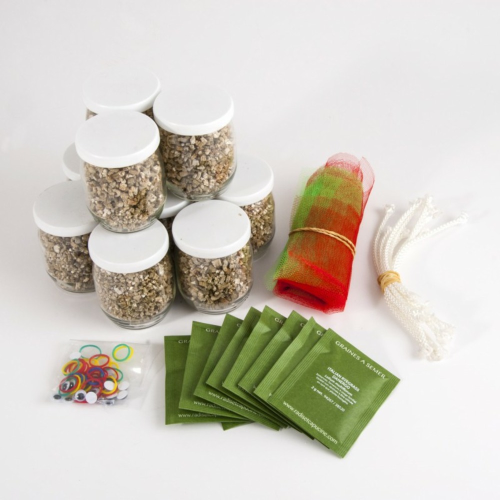 Coffret anniversaire 10 mr patate