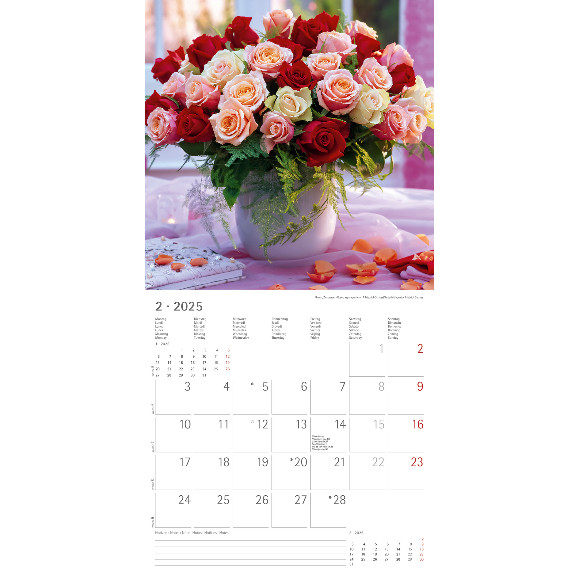 Broschürenkalender 2025 - Blumen - 30x30 cm