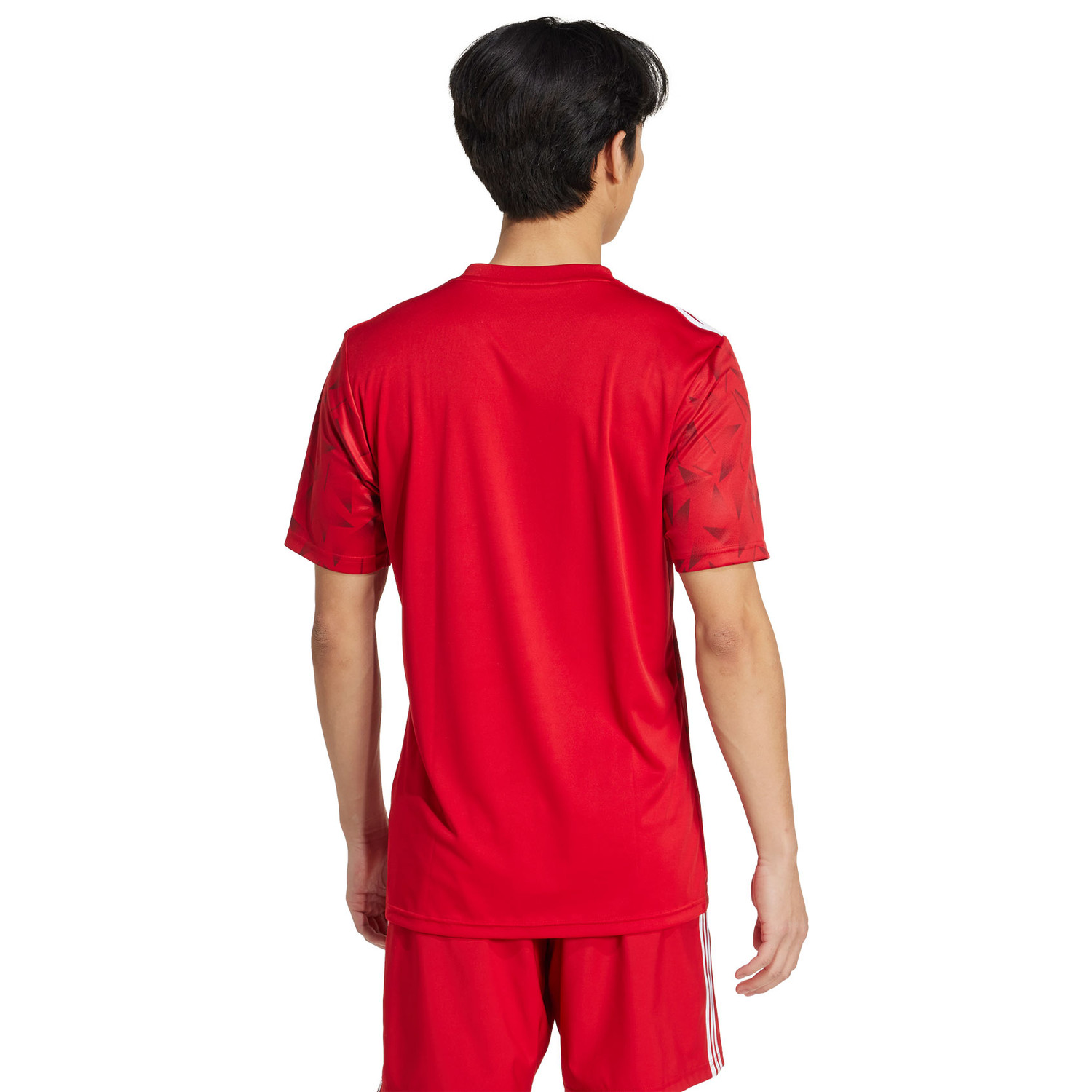 adidas Team Icon 25 Training Shirt