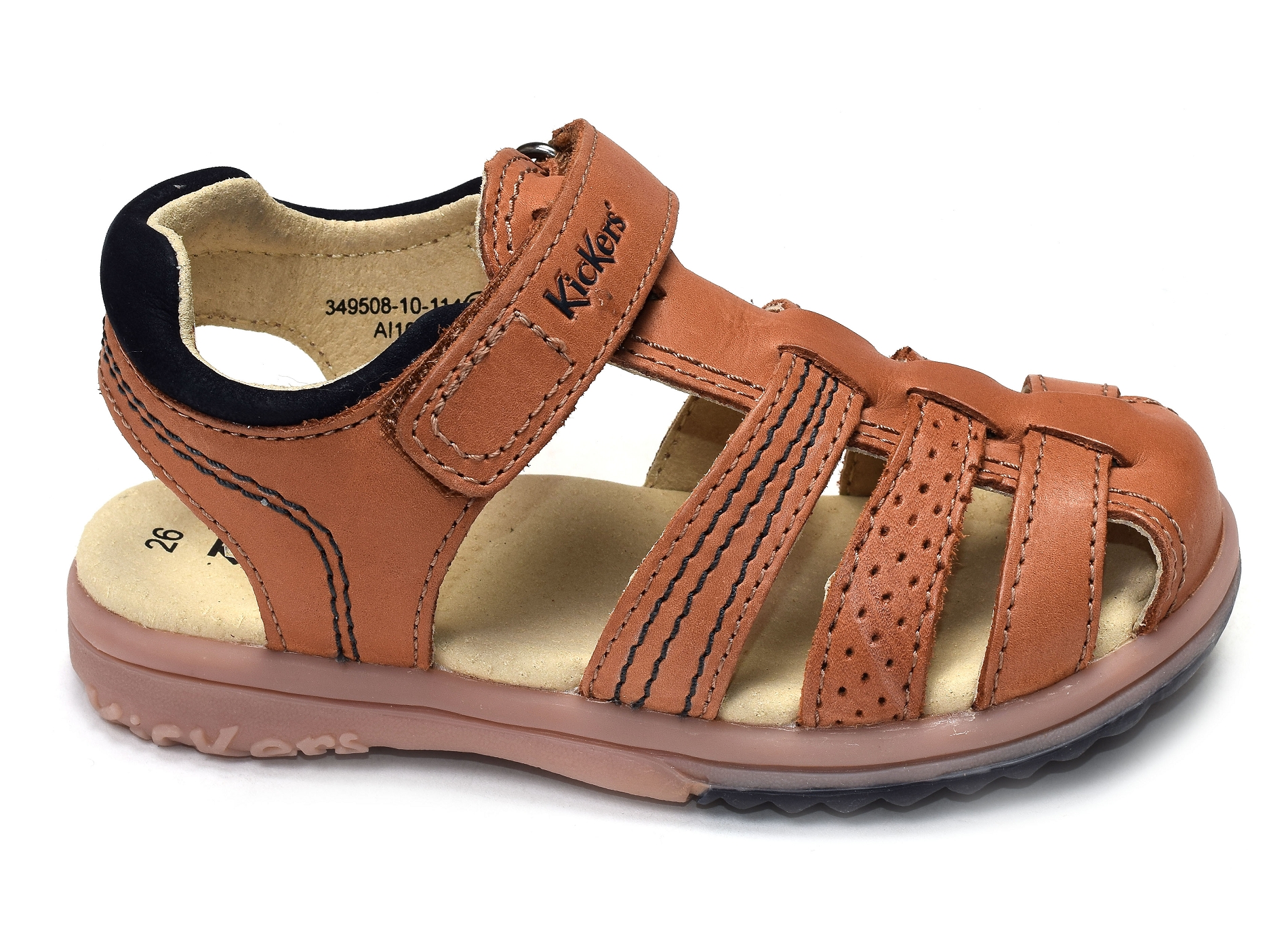 Platinium camel