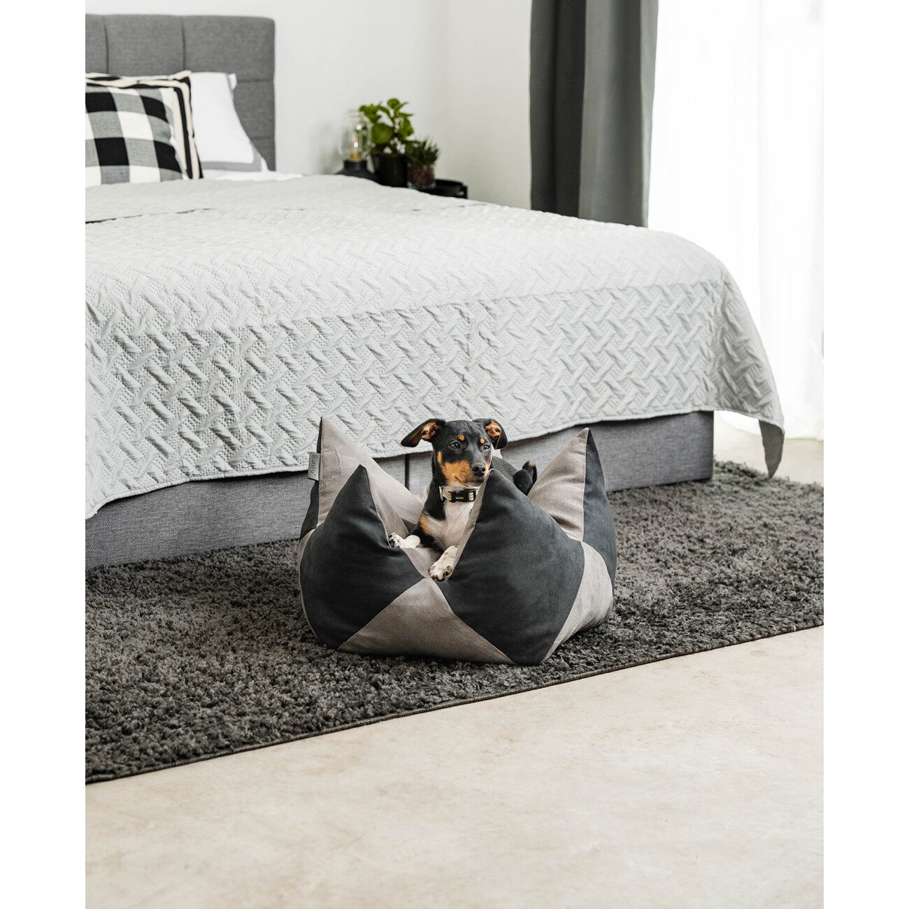 Lionto Hundebett - Kronenkissen grau/ schwarz S