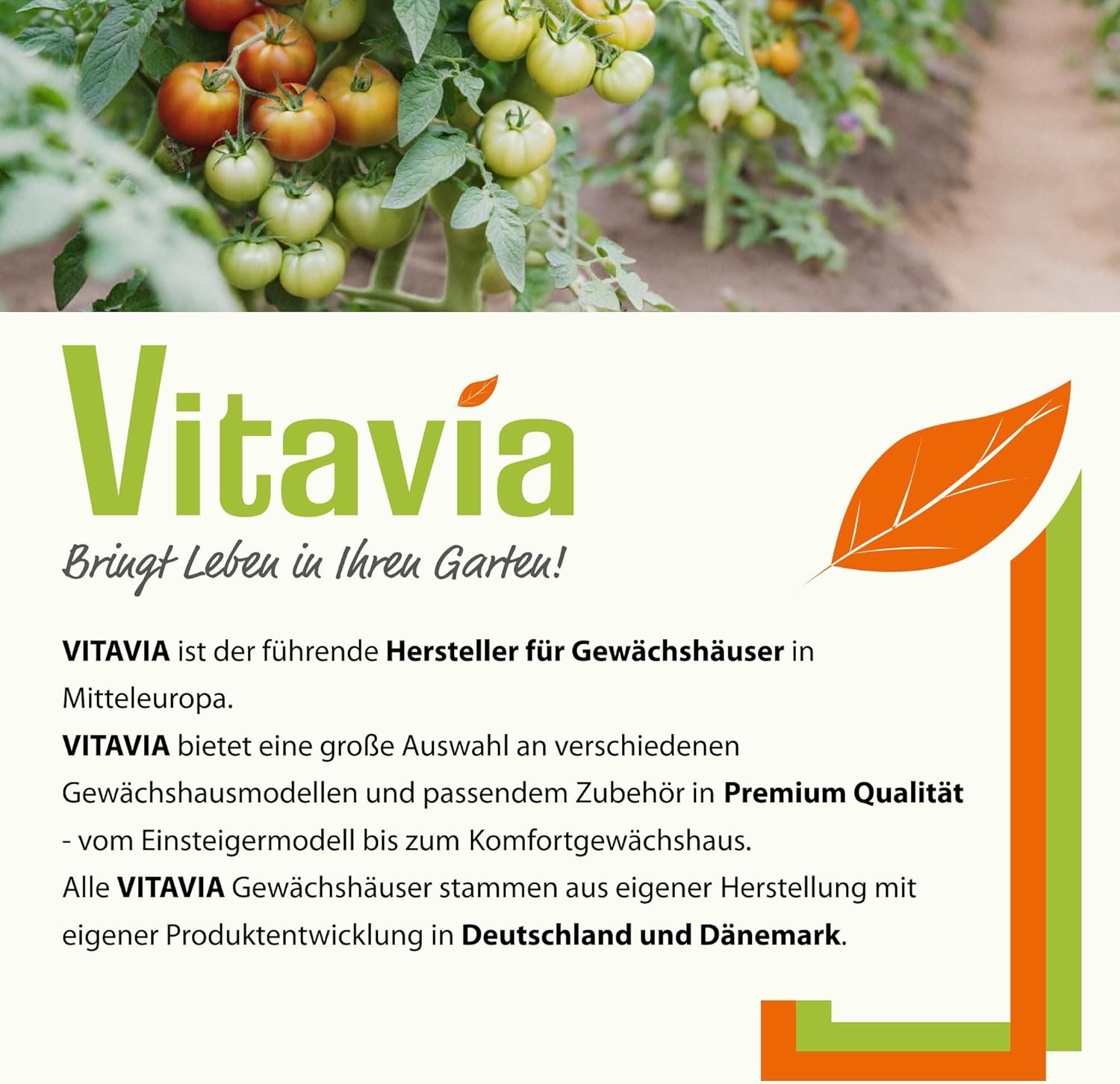 Vitavia Gewächshaus Apollo 6200', Aluminium eloxiert, 6,2 m², 4 mm HKP | Wetterfestes & stabiles Treibhaus | Perfekt für Gemüse & Pflanzen | Robust & langlebig