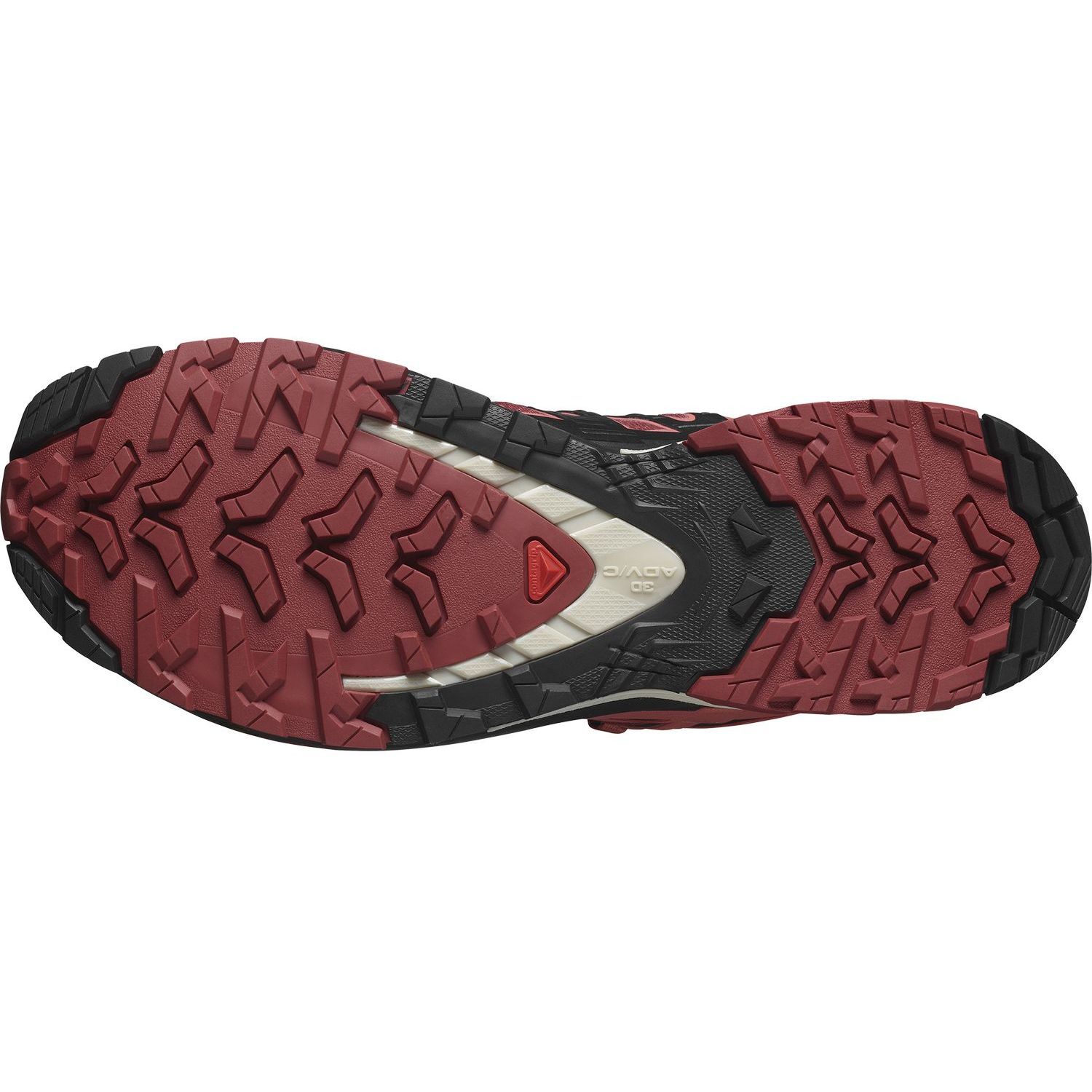 SalomonXA PRO 3D V9 GTX W