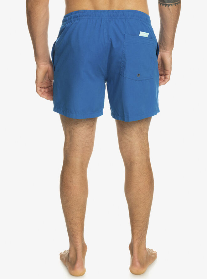 Quiksilver Everyday 15